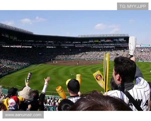 解读PA体育厅在大型体育赛事中的组织与管理策略